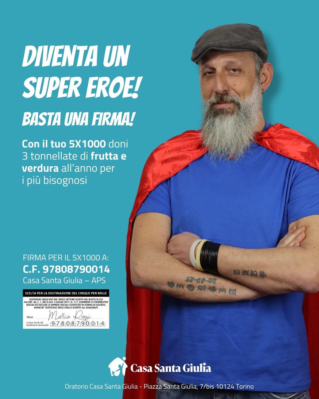 Volontario Pino